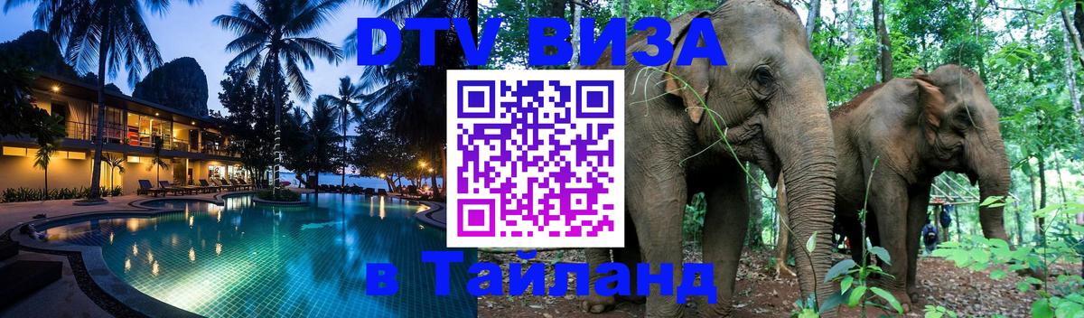 Оформление DTV визы под ключ: стоимость и тарифы, только загранпаспорт - 